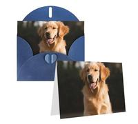 GDSHJKLW Carte de vœux vierge Golden Retriever avec enveloppes, 10,2 x 15,2 cm, cartes de remerciement, cartes de notes, cartes de toutes occasions, bleu pour Noël, vacances, anniversaire, remise de