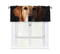 GDSHJKLW Golden Retriever Cantonnières courtes pour cuisine, salle de bain, ferme, salon - 137,2 x 45,7 cm