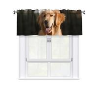 GDSHJKLW Golden Retriever Cantonnières courtes pour cuisine, salle de bain, ferme, salon - 137,2 x 45,7 cm