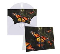 GDSHJKLW Monarch Butterflies1 Carte de vœux vierge avec enveloppes 10,2 x 15,2 cm, cartes de remerciement, cartes de notes, cartes toutes occasions, cartes blanches pour Noël, vacances, anniversaire