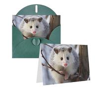 GDSHJKLW Opossum In Snow Carte de vœux vierge avec enveloppes 10,2 x 15,2 cm, cartes de remerciement, cartes de notes, cartes de notes, cartes toutes occasions, vert foncé pour Noël, vacances