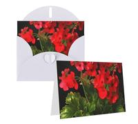 GDSHJKLW Red Geraniums1 Carte de vœux vierge avec enveloppes 10,2 x 15,2 cm, cartes de remerciement, cartes de notes, cartes toutes occasions, cartes blanches pour Noël, vacances, anniversaire, remise