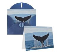 GDSHJKLW Whale Tail Carte de vœux vierge avec enveloppes 10,2 x 15,2 cm, cartes de remerciement, cartes de notes, cartes toutes occasions, cartes de Noël, anniversaire, remise de diplôme, anniversaire