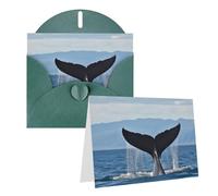GDSHJKLW Whale Tail Carte de vœux vierge avec enveloppes 10,2 x 15,2 cm, cartes de remerciement, cartes de notes, cartes toutes occasions, cartes de vœux pour Noël, vacances, anniversaire, remise de