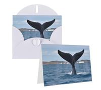 GDSHJKLW Whale Tail Carte de vœux vierge avec enveloppes 10,2 x 15,2 cm, cartes de remerciement, cartes de notes, cartes toutes occasions, cartes blanches pour Noël, vacances, anniversaire, remise de