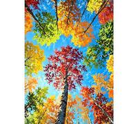 GDYEEH 5D Arbres Colorés Diamant Painting Kit, DIY Forêt Art du Diamant Complet Kits, Pays des Rêves Ciel Diamond Art Kits Strass Point de Croix Painting pour Adultes Débutants Maison Décor 30x40 cm
