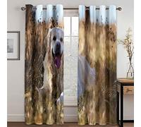 GDYRYD 3D Mignon Animal Labrador Rideau Occultants Enfant Opaque L 100 X H 160 cm Lot De 2 Rideaux À Oeillets,Chambre Et Salon Décoration De Fenêtre, Rideaux Isolant Thermique Et Phonique