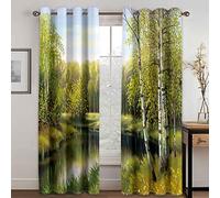 GDYRYD Rideaux Occultants Paysage De Lac Et De Forêt Verte 3D Opaque A Oeillets Salon Draperies Fenêtre Décoration Moderne Adulte Enfant Chambre Cuisine Sonore Rideau L 70 X H 160 cm 2 Pièces