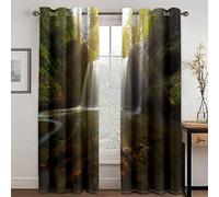 GDYRYD Rideaux Occultants Paysage Forestier en Cascade 3D Opaque A Oeillets Salon Draperies Fenêtre Décoration Moderne Adulte Enfant Chambre Cuisine Sonore Rideau L 70 X H 160 cm 2 Pièces