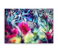 ge Bildet® 22988 Impression sur Toile de Motif Papillon, Coton, 40 x 30 cm