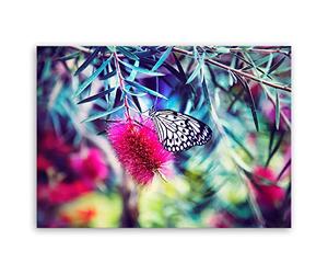 ge Bildet® 22988 Impression sur Toile de Motif Papillon, Coton, 40 x 30 cm