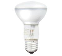 GE LIGHTING réflecteur Ampoule HalogenA consommation R63 E27 230 V 42 W