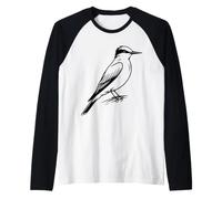 Geai Bleu Line Art Ornithologue Manche Raglan