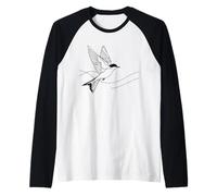 Geai Bleu Linéaire Ornithologue Manche Raglan