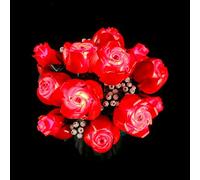 GEAMENT Jeu De Lumières Compatible avec Lego Le Bouquet de Roses - Kit D'éclairage LED pour Icons 10328 (Modèle de Bloc Non Inclus)
