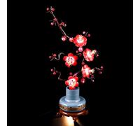 GEAMENT Jeu De Lumières Compatible avec Lego Les Fleurs de Prunier (Plum Blossom) Botanical Collection 10369 (Modèle de Bloc Non Inclus)