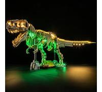 GEAMENT Jeu De Lumières Compatible avec Lego Les fossiles de Dinosaures Le Tyrannosaurus Rex Jurassic World 76968 (Modèle de Bloc Non Inclus)