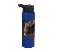 Géant cracheur de feu le redoutable dinosaure Stainless Steel Insulated Water Bottle