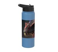 Géant cracheur de feu le redoutable dinosaure Stainless Steel Insulated Water Bottle