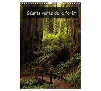 Géants verts de la forêt (Calendrier mural 2027 DIN A3 horizontal), CALVENDO calendrier mensuel: Arbres anciens et forêt tropicale de la côte nord-ouest américaine