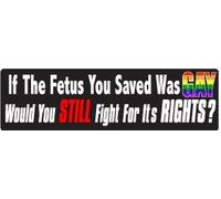 Gear Tatz - Autocollant en vinyle « If The Fetus You Saved was Gay, Would You Still... » - 7,6 x 25,4 cm - Fabriqué professionnellement aux États-Unis