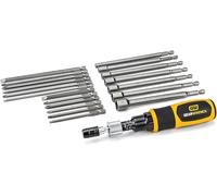 GearWrench 89620 Jeu de Tournevis Dynamométrique 1/4" 10-50 in/lbs, 20 Pièces