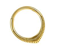 Geavonyg Bijoux De Septum À La Mode Petits Boucles Cerceau Nez Avec Des Clous Fleur Et Nez Tragus En Acier Chirurgical Pour Les Anneaux Segment À Charnière