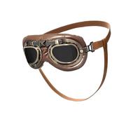 Geavonyg Couches De Protection Antiques pour Les Lunettes Trottoir du Vent Chiens Abs Shield Perfectionne Les Verres Compagnie Anciens Voyage