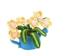Geavonyg De Démarrage Crochet D'animaux Ensemble Fils Pour Débutants Apprendre Par Vidéo En Anglais Fil D'animaux Complet Bricolage Pour Débutants