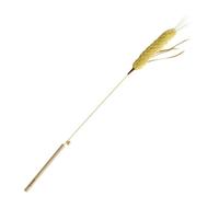 Geavonyg Down Trailer Stick with Strong Alloy Handle Participatory Puss Play Addition Mixture Strengthened Puss Toy