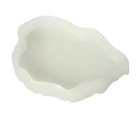 Geavonyg Food Bowl Food Plat d'eau Barbu Dragon Alimentant Le Ver en Plastique pour Les Aoles Turtles Worm Plat