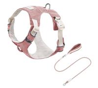 Geavonyg Harnais Confortable pour Chien avec Boucles À Dégagement Rapide Sangle De Poitrine Réfléchissante Sécurité Activités Plein Air Ensemble Laisses en Nylon Gilet Chien