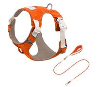 Geavonyg Harnais Confortable pour Chien avec Boucles À Dégagement Rapide Sangle De Poitrine Réfléchissante Sécurité Activités Plein Air Ensemble Laisses en Nylon Gilet Chien