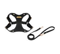 Geavonyg Harnais De Gilet pour Chien avec Laisse Sangle Poitrine sans Traction Animaux Compagnie Marche des Chiens Traction Activité Plein Air Laisse Chien À Dégagement Rapide Et Ensemble