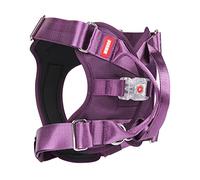 Geavonyg Harnais LED pour Chiens Alimenté par Batterie Gilet Réglable Confortable sans Danger La Marche Gilet LED Lumineux La Marche De Taille Moyenne Et sans Traction