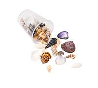 Geavonyg Natural Sea Sequares Craft Ensemble Projets De Coquillages Uniques Crafting Shells pour Les Décors De Bijoux Et Les Créations Artisanales Artisanat Shell Supplies