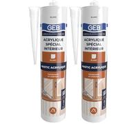 GEB Mastic acrylique spécial intérieur pour le calfeutrement autour des portes et fenêtres en intérieur. Multi supports. Peut se peindre. Sans odeur. 310ml - Blanc (Lot de 2)
