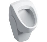 Geberit 300 urinoir 40 avec entrée arrière 36x37cm blanc s8601600000g
