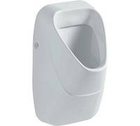 Geberit 300 urinoir avec entrée arrière 34x34cm avec volaille inclus KeraTect blanc s8601805001g