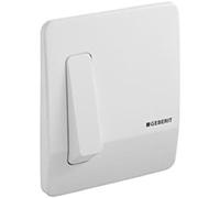 Geberit 8009504 Plaque de recouvrement 240.121.11.1 avec Activation, Argent