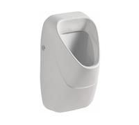 Geberit Alivio urinoir 238100000