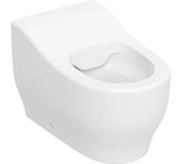 Geberit Bambini WC au sol pour petits enfants, chasse deau basse, Rimfree, hauteur:24cm, 502.965., Couleur: blanc / KeraTect