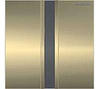 Geberit commande d'urinoir infrarouge Typ 50 116036QF1 avec commande électronique de rinçage, fonctionnement sur batterie, brossé / laiton