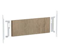 Geberit Plaque de montage Duofix 111055001 Raccord de sortie excentrique, pour cloison sèche