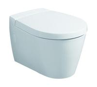 Geberit Geberit Abattant WC Visit blanc, avec couvercle, charnières en acier inoxydable Quantité:1