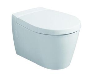 Geberit Geberit Abattant WC Visit blanc, avec couvercle, charnières en acier inoxydable Quantité:1