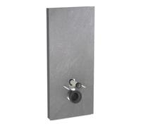 Geberit Geberit Module WC suspendu Monolith Plus H 114 cm, F ardoise, S. alu SW-chrome Quantité:1