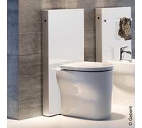 Geberit Monolith Module sanitaire H: 114,5 cm, pour cuvette à poser, 131003SI5,