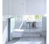 Geberit Monolith Module sanitaire H: 114,5 cm, pour cuvette suspendue, 131022SL5,