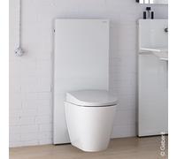 Geberit Monolith Module sanitaire pour cuvette au sol, 131033SI5,